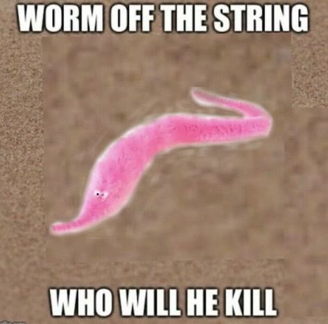 Worm On A String, I Need Jesus, Silly Images, Silly Pictures, Funny Text Messages, Really Funny Pictures, Really Funny Memes, Funny Laugh, Reaction Pictures