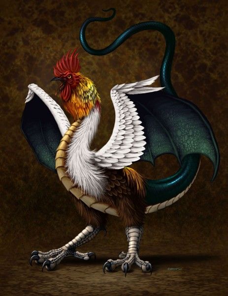 Cockatrice - Top 10 Most Bizarre Mythical Animal Combinations Basilisk Tattoo, Animal Combinations, Greek Creatures, Magic Wood, Myths & Monsters, Mythical Animal, Mythical Beast, Desenho Tattoo, Mythological Creatures