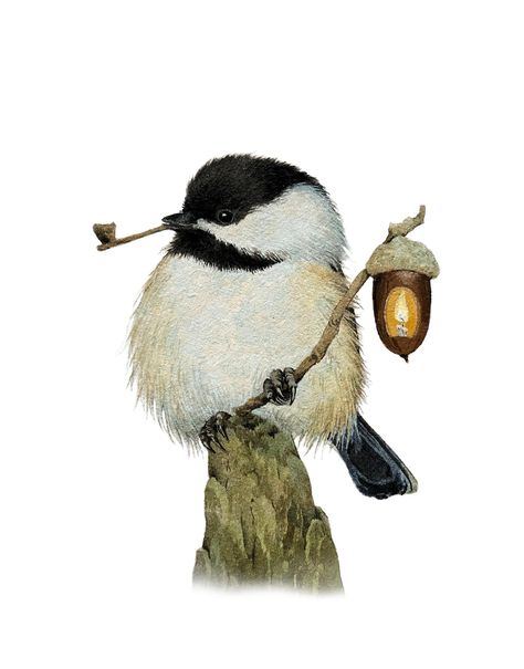 Chickadee With Lantern Print - Etsy Woodland Animal Art, Black Capped Chickadee, Woodland Art, Animal Art Prints, Fantasy Warrior, Woodland Creatures, Whimsical Art, Woodland Animals, Art Reference Photos