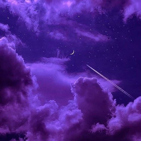 Creepy Purple Aesthetic, Purple Pics, Night Landscape Photography, Purple Aesthetic Background, Purple Stuff, Dark Purple Wallpaper, Violet Aesthetic, Wood Core, Purple Vibe