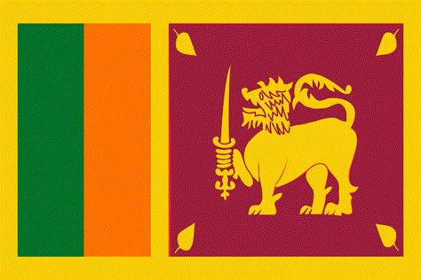 Sri Lankan Flag, Sri Lanka Flag, Travel Sri Lanka, Countries And Flags, National Flags, Sri Lanka Travel, World Flags, Image Film, The Pope