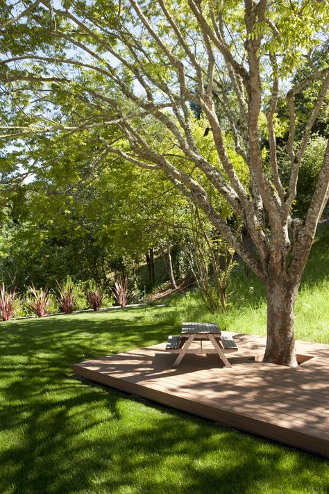 Deck Around Trees, Tree Deck, Landscaping Around House, Landscaping Around Trees, Floating Deck, Wooden Patios, Under A Tree, Landscape Designs, Have Inspiration