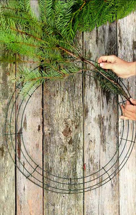 Christmas Wreaths Diy Evergreen, Diy Rustic Wreath, Real Christmas Wreaths, Christmas Wreath Designs, Door Decor Ideas, Natural Christmas Wreaths, Crafts Winter, Christmas Flower Decorations, Fresh Christmas Wreath