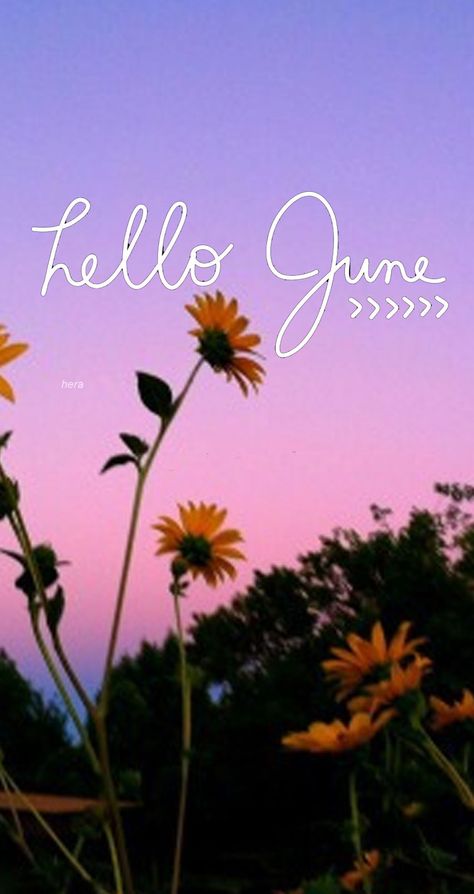 Hello June Wallpaper, June Iphone Wallpaper, Month Backgrounds, June Images, Months Wallpaper, Hello New Month, June Wallpaper, June Pictures, Aesthetic Spring Wallpaper