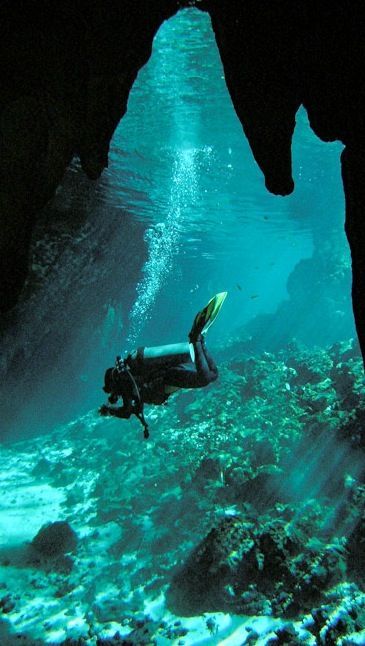 Ocean Cave, Scuba Diving Photography, Diver Down, Underwater Caves, Fauna Marina, Sea Diving, Deep Sea Diving, Under The Water, Cave Diving