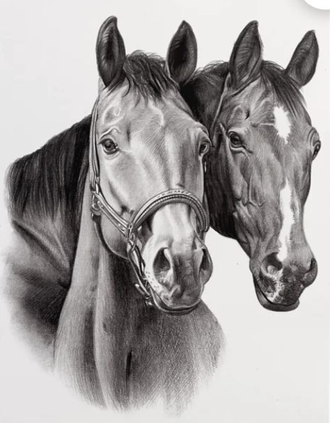 Animal Sketches Easy, Horse Pencil Drawing, Horse Head Drawing, Horse Art Drawing, Pencil Drawings Of Animals, Horse Sketch, Pencil Sketch Drawing, Watercolor Horse, Charcoal Art