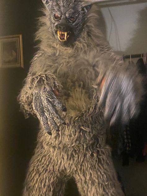 #halloween #wolf #costumes #funny #memesdaily #furryfriends #costume #halloweencostume #halloweenparty #aesthetic #fashion #tiktok Wolf Meme, Wolf Costume, Halloween Party, Halloween Costumes, Halloween, Memes, Animals