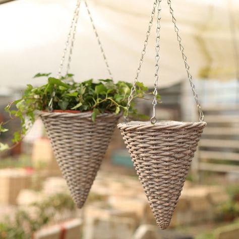 Cone Shaped Hanging Baskets, Vintage Garden Tools, Property Ideas, Bedroom Wall Designs, Garden Containers, Booth Ideas, Hanging Basket, Living Wall, Wall Planter