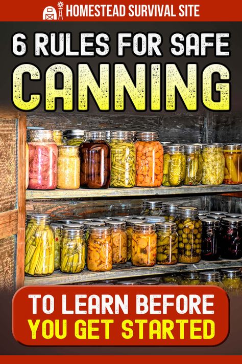 Fufilling Food, Homestead Knowledge, Canning Veggies, Dry Canning, Freezing Recipes, Homesteading Life, Homestead Style, Canning Equipment, Grid Ideas