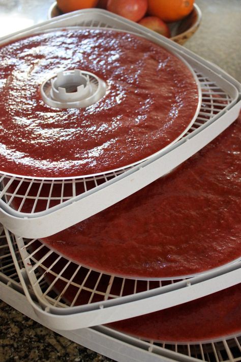 Fruit Leather: Frozen to Chewy in One Day – Parenting From Scratch Fruit Leather Recipe Dehydrator, Fruit Roll Ups Homemade, Fruit Leather Dehydrator, Cake Sauce, Dehydrator Recipes Fruit, Strawberry Fruit Leather, Dehydrating Food Storage, Fruit Leather Recipe, Fruit Chews