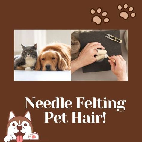 Needle Felting Tutorial, Needle Felted Dog, Needle Felting Tutorials, Excess Hair, Felt Dogs, Needle Felting Projects, Felt Pattern, Felting Tutorials, Felt Cat