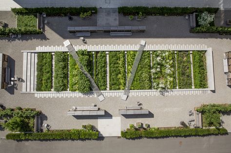 Novartis Physic Garden / Thorbjörn Andersson + Sweco architects Plaza Design, Urban Landscape Design, Urban Park, Landscape Services, Garden Landscape Design, Urban Spaces, Urban Farming, Landscape Projects, Urban Planning