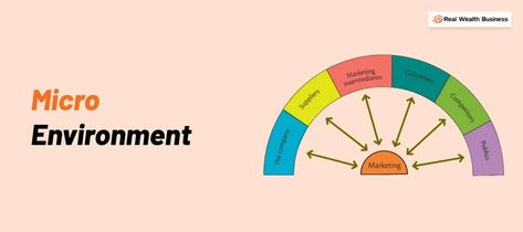 The Micro environment Environmental Analysis, Quick Saves