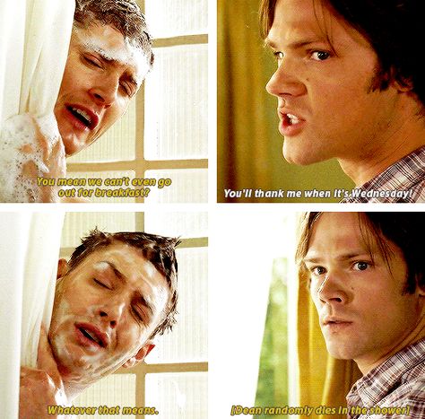 [Dean randomly dies in shower] Supernatural Jokes, Emmanuelle Vaugier, Spn Memes, Winchester Boys, Supernatural Memes, Odaiba, Supernatural Funny, Sam And Dean, Supernatural Cast