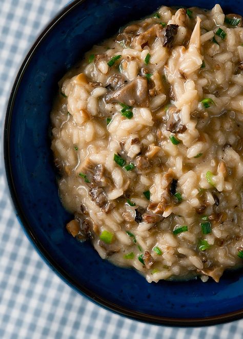 Mushroom risotto, made with morel mushrooms. Recipe from Hunter Angler Gardener Cook. Morel Risotto Recipes, Recipes With Morel Mushrooms, Vegan Morel Mushroom Recipes, Tuscan Dishes, Appalachian Cooking, Morel Recipes, Morel Mushroom Recipes, Mushroom Risotto Recipes, Morel Mushrooms