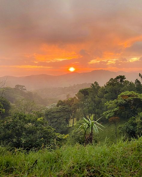 While Costa Rica may be a small country, it's packed with things to do. This country is filled with pristine beaches, moody cloud forests, towering volcanoes, thundering waterfalls, and amazing wildlife. An outdoor lover's dream! Luckily, it's possible to see all these highlights during Maui Kihei, Costa Rica Itinerary, Hawaii Trip Planning, Kihei Maui, Manuel Antonio National Park, Arenal Volcano, Boarding Passes, Costa Rica Travel, Surf Lesson