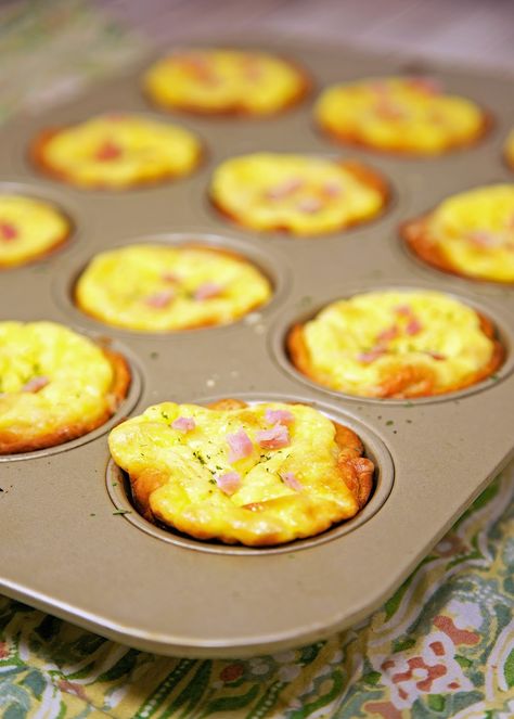 Ham & Cheese Biscuit Quiches Recipe - ham and cheese quiche baked in a biscuit crust. Great way to use up leftover holiday ham! Freeze leftovers for a quick meal later!! Biscuit Quiche, Egg Quiche Recipes, Freeze Leftovers, Recipes Quiche, Biscuit Crust, Ham And Cheese Quiche, Cheese Biscuit, Honey Baked, Leftover Ham Recipes