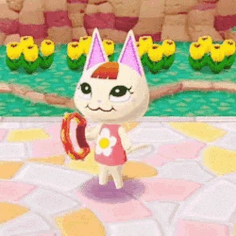 Merry Animal Crossing, Animal Crossing Gif, Valentines Roses, Tambourine, Bits And Bobs, Tarot Decks, Animated Gifs, Sea Creatures, Farm Animals