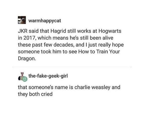 Harry Potter X Charlie Weasley, Charlie Weasley Headcanons, How To Train Your Dragon Headcanon, Harry Potter Charlie Weasley, Weasley Headcanons, Charlie Weasley, Harry Potter Headcannons, Fandom Crossover, Harry Potter Jokes