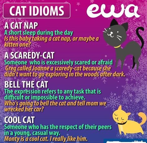 Cat idioms. Cat Idioms, Idioms In English, English Love, English Phrases Idioms, Idioms And Phrases, Learning English Online, Writing Classes, Writing Inspiration Prompts, English Tips