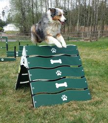 Puppy Playground, Indoor Dog Park, Park Activities, Dog Kennel Designs, Park Ideas, Park Equipment, Dog Yard, Dog Playground, Pet Design