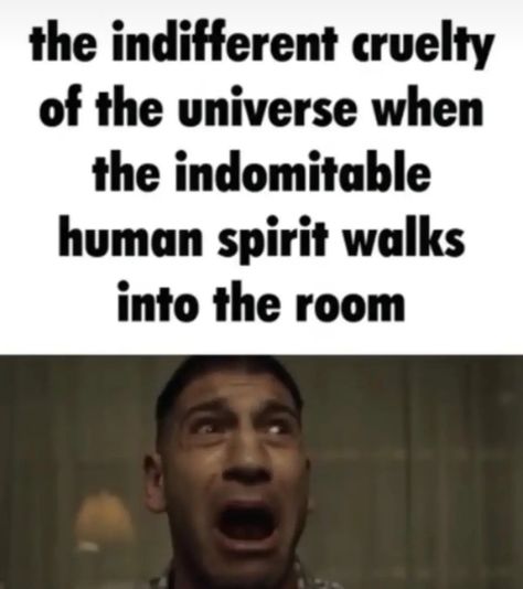 The Indomitable Human Spirit, Indomitable Human Spirit, Hard Quotes, Human Spirit, Wholesome Memes, Silly Me, Lose My Mind, Really Funny Pictures, The Room