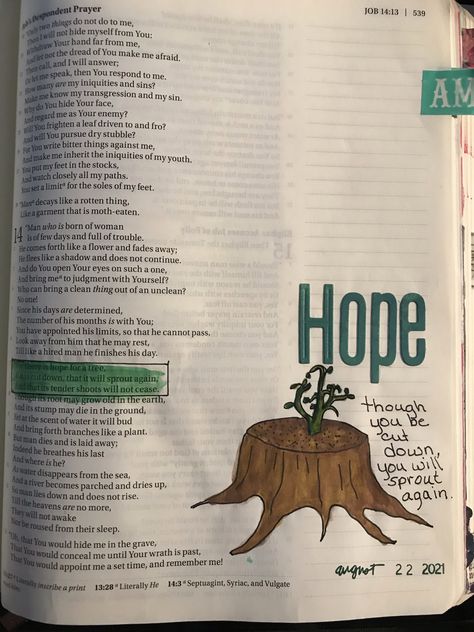 Job 14:7, Job 38 4-7, Job Bible Journaling, Verse Drawings, Legacy Bible, Job 33:14-16, Book Of Job Bible Journaling, Journal The Word Bible, Job 6 Bible Journaling