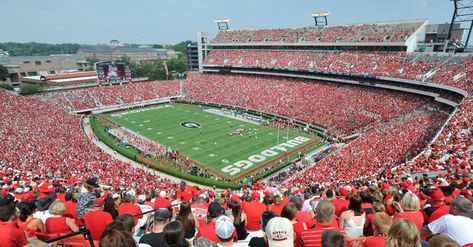 Sanford Stadium, Watercolor Decor, Sport Management, City Wall Art, Football Stadiums, Professional Athlete, University Of Georgia, Sports Photos, Wall Art Canvas Painting