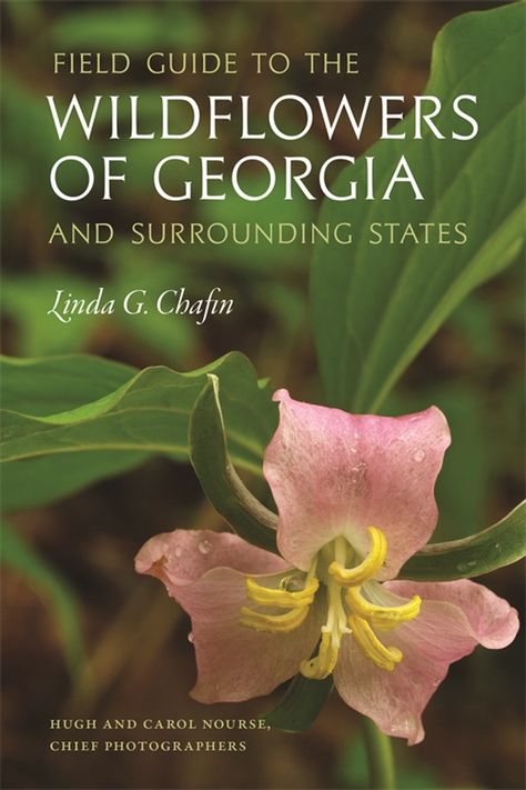 Field Guide to the Wildflowers of Georgia and Surrounding States Common Wildflowers, Nature Books, Identify Plant, Plant Science, Dry Creek, University Of Georgia, Walk In The Woods, Field Guide, Nature Photographs