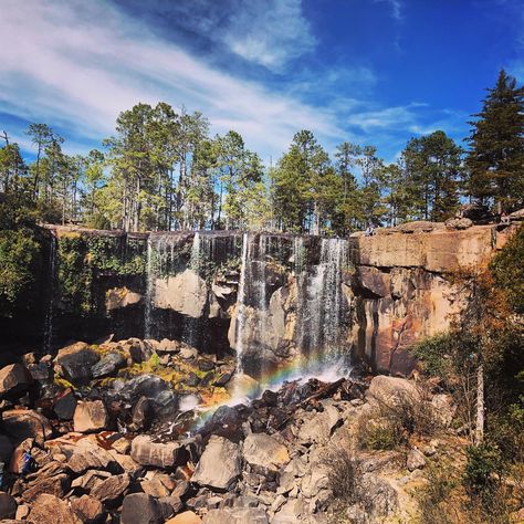 Durango Mexico Aesthetic, Mexico Aesthetic Wallpaper, Mexico Aesthetic, Durango Mexico, Jungle Forest, Aquatic Ecosystem, Marine Ecosystem, Country Landscaping, Best Places To Travel