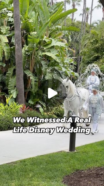 Disneyland Wedding, Jasmine Wedding, Disney Wedding, Fairytale Wedding, Disney Parks, Beautiful Bride, Garden Wedding, Indian Wedding, Disneyland