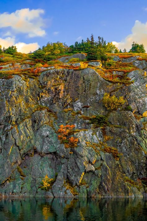 Newfoundland Scenery the beautiful province. | Autumn Cliffs in Quidi Vidi Gut Newfoundland Scenery, October 15, Newfoundland