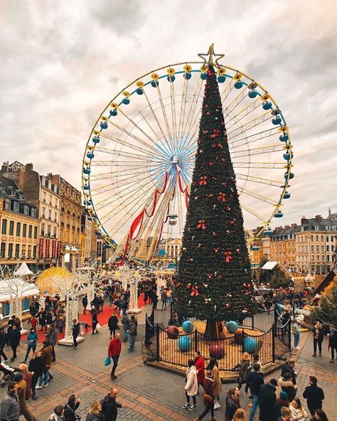 Lille Lille France, Christmas Markets, Amazon Book Store, Book Store, Europe Destinations, Christmas Market, Holiday Travel, Solo Travel, Book Gifts