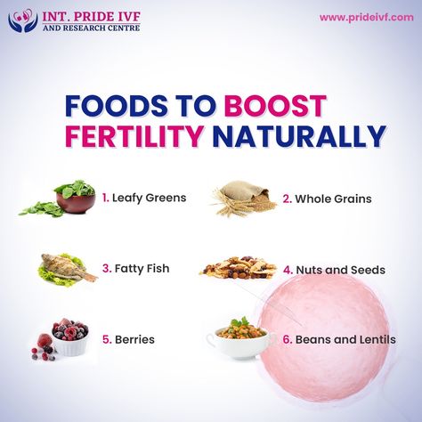 A balanced diet is a must and if maintained can help boost one’s fertility naturally. Here are some foods which you should incorporate into your diet to improve your chances of conceiving. For any queries, call ���📞 +917669121391 Food For Fertility, Fertility Food, Boost Fertility Naturally, Boost Fertility, Fertility Foods, Fertility Diet, Food Plan, Fertility Boost, Conceiving