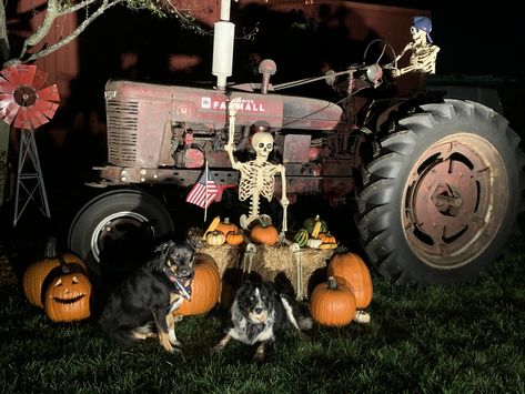 The fun way do decorate for Halloween when you have a farmall tractor, skeletons and pumpkins! Finally took the time to do this! #halloweendecor #halloweenexterior #skeletondecorations #falldecor #pumpkindecor #farmhousehalloween Halloween Tractor Decoration, Fall Tractor Decor, Farm Halloween Decor, Halloween Hay Bale, Frosted Window Design, Tractor Decor, Scary Halloween Decorations Outdoor, Country Halloween, Farmhouse Halloween