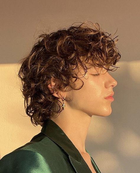 Fluffy Curly Hair, Long Curly Hair Men, Long Curly Haircuts, Men Haircut Curly Hair, Wavy Hair Men, Boys With Curly Hair, Haircuts For Curly Hair, Mullet Hairstyle, Curly Hair Men