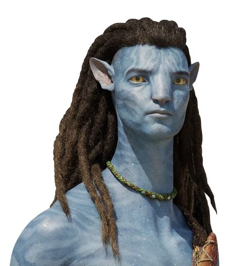 Jake And Neytiri, Navi Avatar, Omatikaya Clan, Avatar Disney, Neytiri Avatar, Avatar Cosplay, Sky People, Jake Sully, Avatar 1