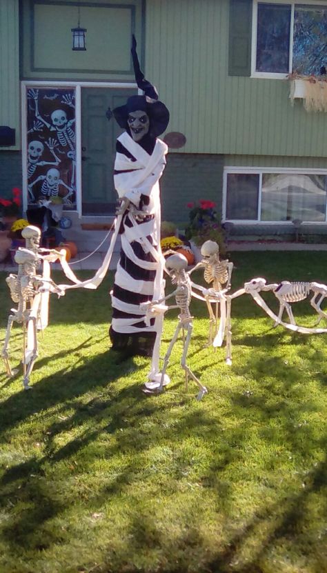 Witch And Skeleton Decor, Skeletons Front Yard, Small Skeleton Decorating Ideas, Posable Skeleton Ideas Outside, Skeleton Yard Ideas, Funny Skeleton Poses Halloween, Skeleton Yard Scenes, 12 Foot Skeleton Ideas, Posable Skeleton Ideas