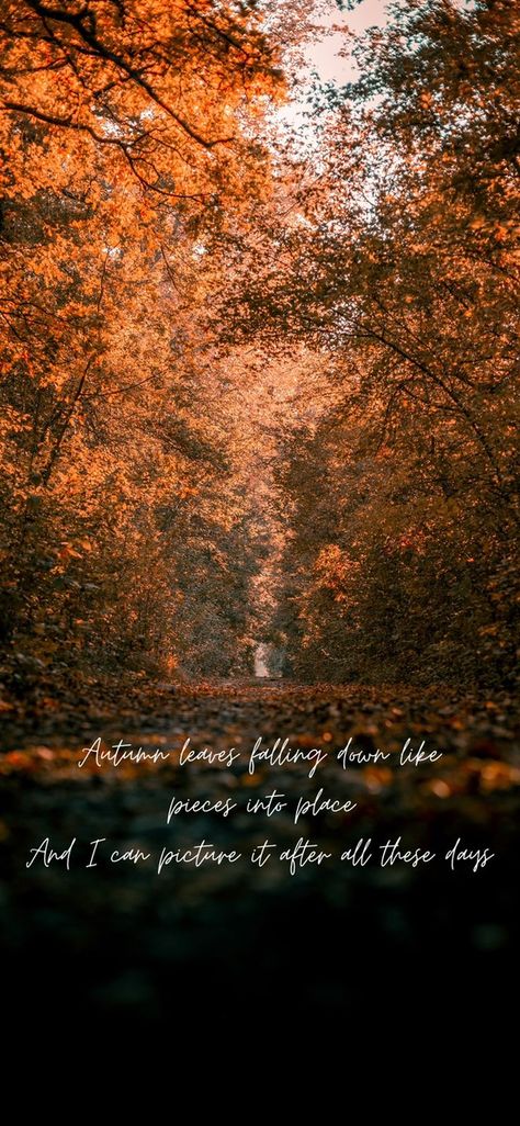 Taylor Swift Fall Lyrics Wallpaper, Fall Aesthetic Wallpaper Taylor Swift, All To Well Lyrics Wallpaper, Taylor Swift October Wallpaper, All Too Well Phone Wallpaper, Autumn Song Lyrics, Taylor Swift Fall Aesthetic Lyrics, All Too Well Wallpaper Lyrics, Autumn Taylor Swift Wallpaper