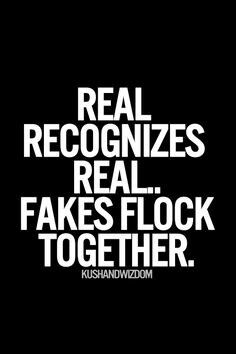 Real recognize Real Real Recognize Real, Image Positive, Life Quotes Love, E Card, New Energy, Quotable Quotes, True Words, The Words, Great Quotes