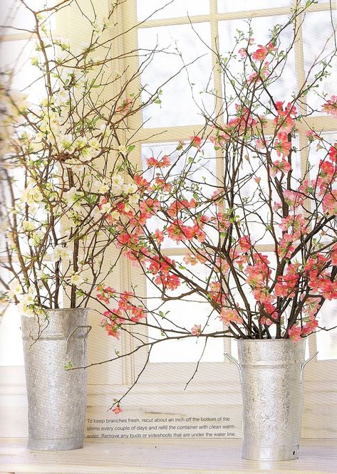 these arrangements of flowering quince branches to accompany modern decor Upstairs Decor, Quince Branches, January Flowers, The Harbingers, Carolyne Roehm, Flowering Branches, Flowering Quince, White Branches, Spring Refresh