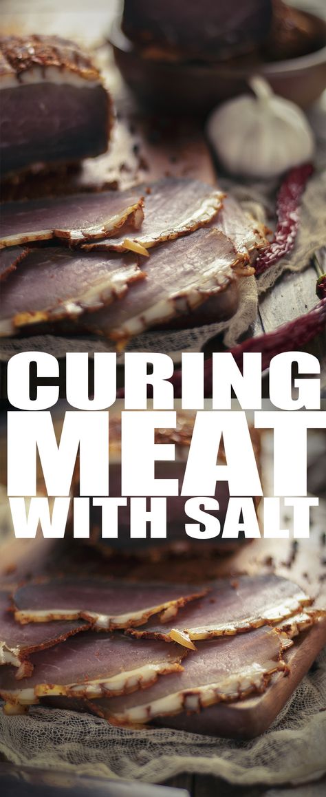 Salt Curing Meat At Home, Salt Cured Meat, Cured Pork Loin Recipe, Dried Meat Recipe, Curing Chamber, Preserving Meat, Curing Meat, Cured Meat Recipes, Dried Meat