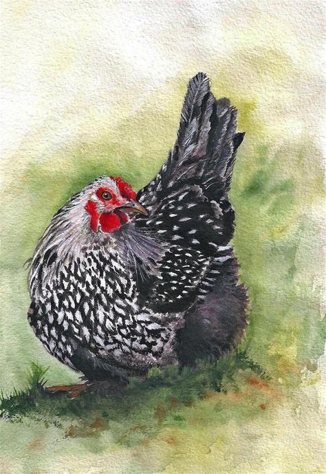 Black And White Chicken, Farm Animal Paintings, Rooster Painting, Chicken Painting, Rooster Art, Chicken Art, Chickens And Roosters, White Chicken, Tole Painting