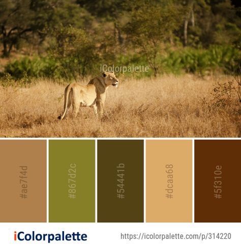 Color Palette Ideas from Wildlife Grassland Ecosystem Image Safari Colors Palette, Safari Theme Color Palette, Safari Wedding Color Palette, African Colour Palette Color Inspiration, Wildlife Colour Palette, Animal Print Color Palette, Jungle Theme Color Palette, Wildlife Color Palette, Animals Color Palette