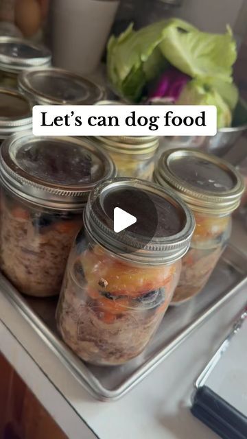 Lauren Ketterman on Instagram: "Canning dog food! Now, we still feed kibble. The dogs split a jar of this every other day and we cut the kibble to 1/4 that day! (We have 2 labs) we have noticed such a difference in their coats and energy (they are old boys) since doing this! Other common add ins are ACV, fish oil, and coconut oil! I add those on fresh so the heat doesnt destroy anything. I am nowhere near an expert on this but i DID do my research on the most beneficial things we can be supplementing. In a perfect world, i would be doing raw food diet for them, but im just not in a season where that is doable. Enjoy ❤️ #dogfood #homemadedogfood #canning #canningandpreserving #homestead #recipe #urbanhomestead #foodstorage #hobbyfarm #wellness #dogsofinstagram #doghealth #denalicanning" Canning Dog Food, Canning Dog Food Recipes, Dehydrated Dog Food, Homemade Goods, Make Dog Food, In A Perfect World, Canned Dog Food, Cod Fish, Raw Food Diet