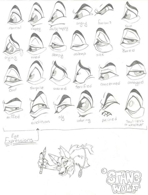 Eye Expressions by ~StangWolf on deviantART Animal Expressions Drawing, Cat Expressions Drawing, Eyes Expression, Disney Eyes, Facial Expressions Drawing, Lion King Drawings, Cat Expressions, Realistic Eye Drawing, Eye Expressions