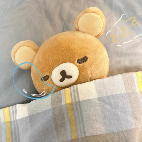 Cute Rilakkuma Icons, Cozy Pfp, Rilakkuma Pfp, Rilakkuma Aesthetic, Rilakkuma Plushie, Rilakkuma Wallpaper, Rilakkuma Plush, Y2k Photos, Sleepy Bear