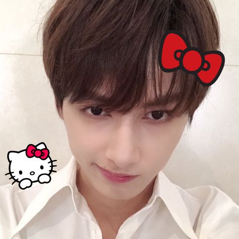 Seventeen Junhui, Soft Pink Theme, Wen Junhui, Music Collage, Cute Backgrounds For Phones, Seventeen Jun, Seventeen Album, Cat Icon, Icon Pfp