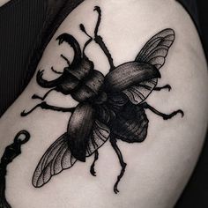 An incredible depictions of a stag beetle by Ilja Hummel (IG— iljahummel). #black #illustrative #IljaHummel #stagbeetle Black Bug Tattoo, Black Beetle Tattoo, Dark Shaded Tattoos, Stag Beetle Tattoo, Beetle Tattoo, Insect Tattoo, Bug Tattoo, Witch Tattoo, Doodle Tattoo