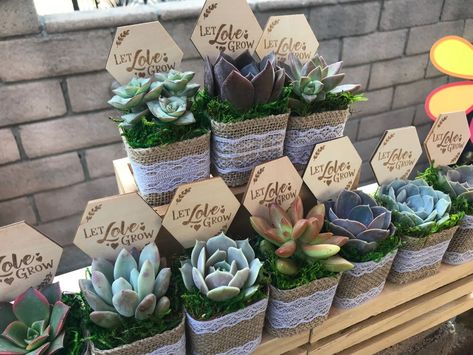 Succulent Bridal Shower Favors, Succulent Baby Shower Favors, Green Bridal Showers, Let Love Grow, Bridal Favors, Wedding Shower Favors, Succulent Wedding, Favors Wedding, Well Lights